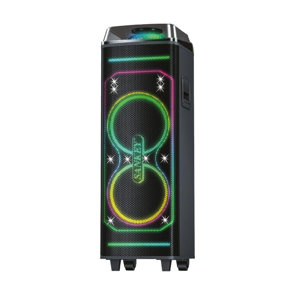 Bocina Sankey 2x10" / Bluetooth / 80W / PA-10DCN50 - Image 2