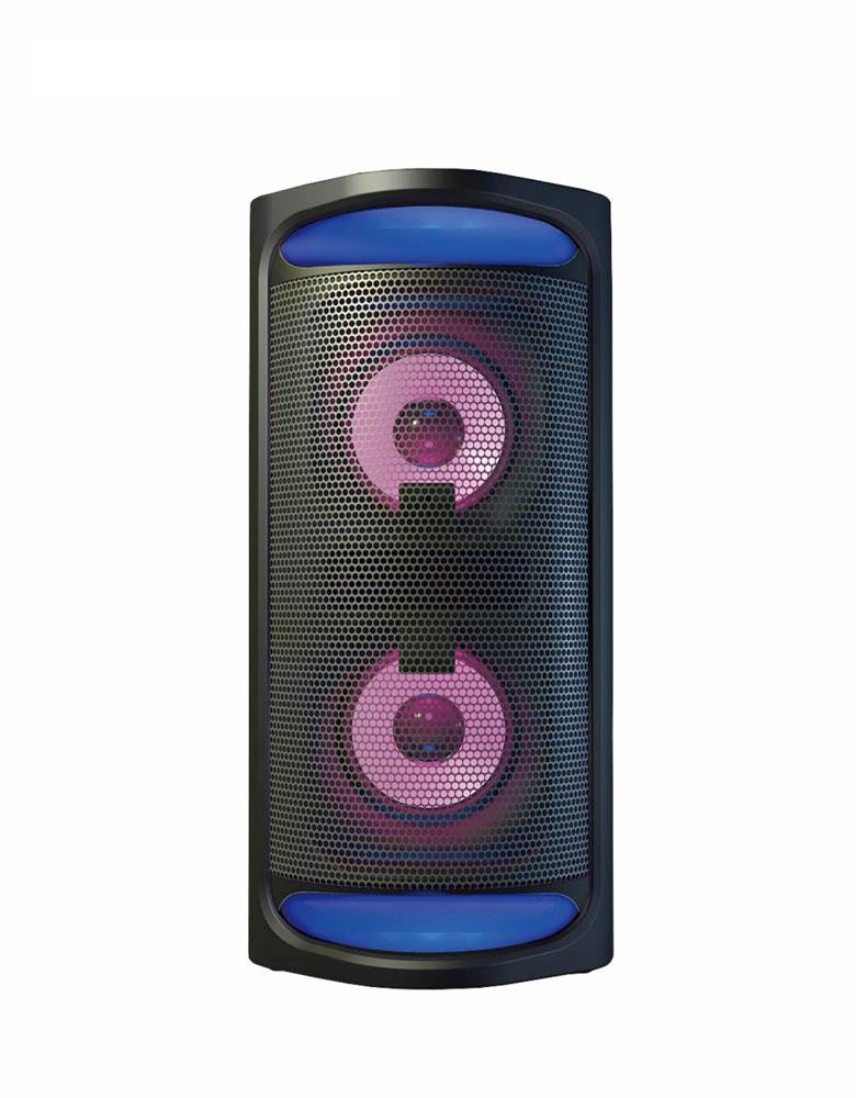 Bocina Sankey 5" X2 Recargable