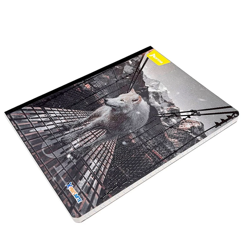 Cuaderno Cosido Grande Norma X-Presarte / Doble Raya / 200 Páginas / Surtido - Image 11