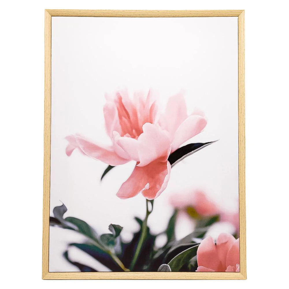 Cuadro Decorativo de Flores Concepts 60 cm x 45 cm x 3 cm