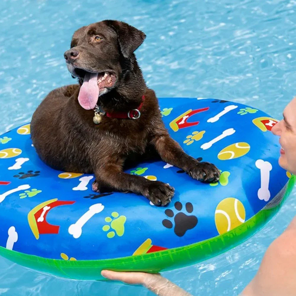 Flotador De Piscina Para Mascotas Fetchin 1.56 M X 1.12 M Bestway - Image 3