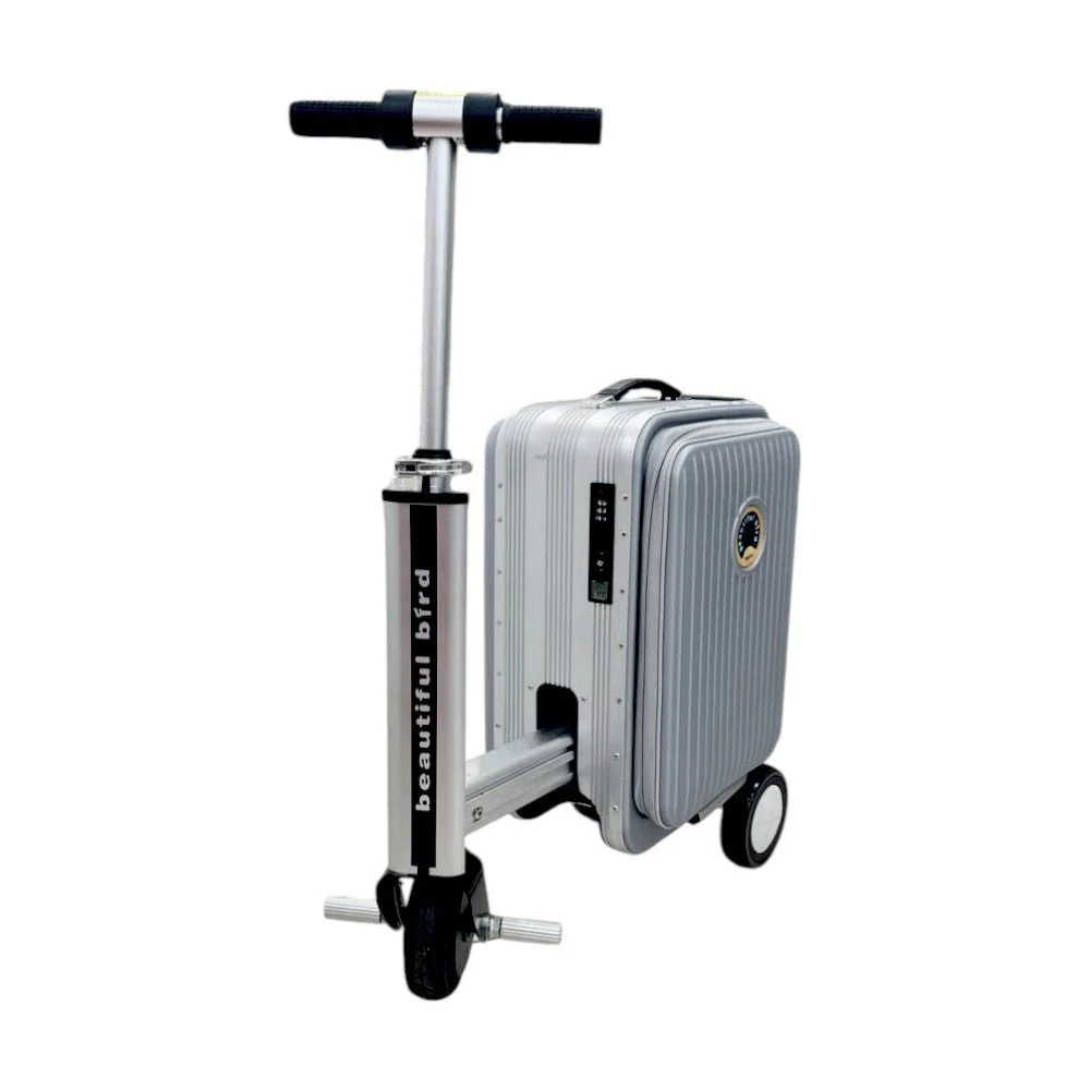Maleta Scooter Electrónica / Yong Xing / Silver - Image 6