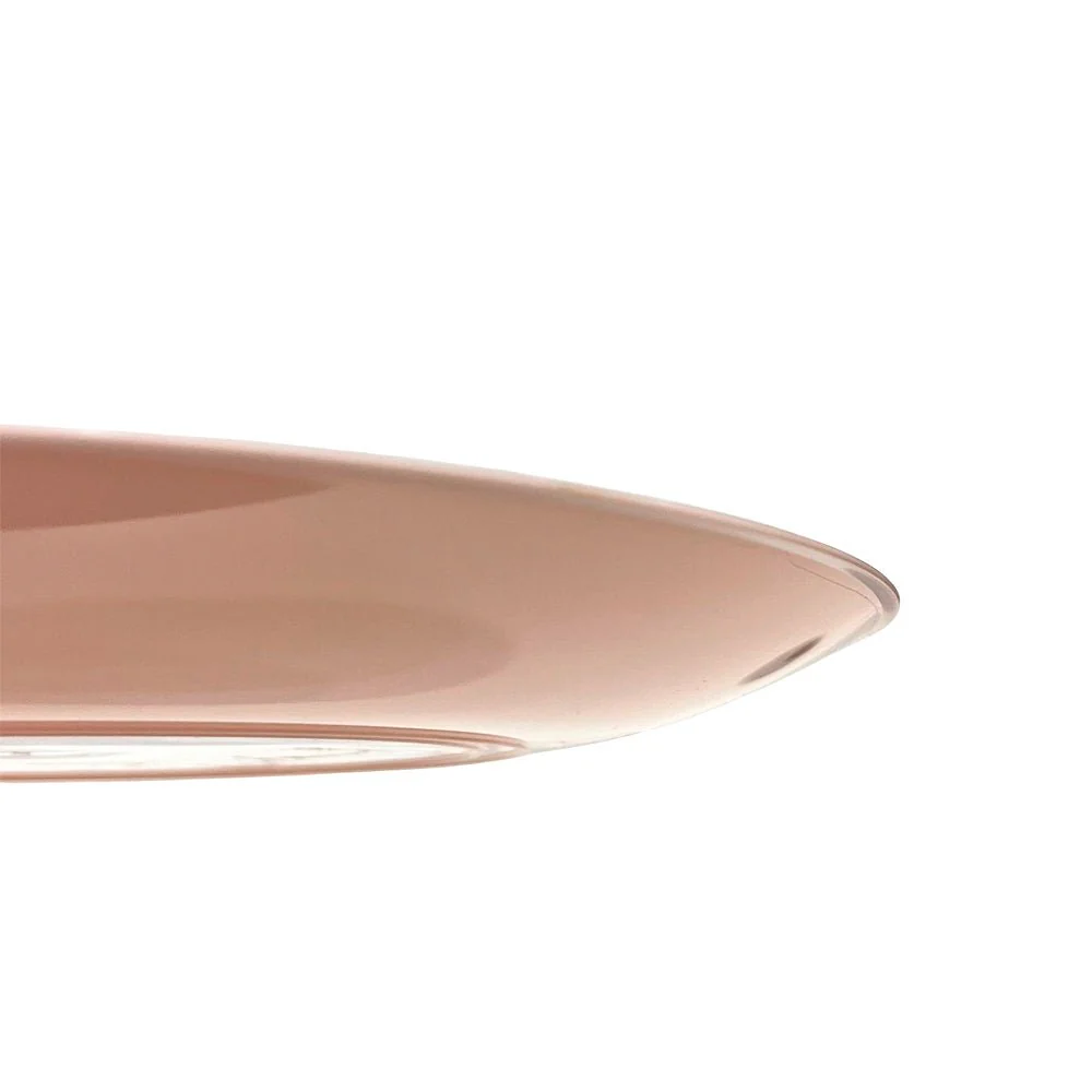Plato Llano / Elegance Party / 10.25" / Blush & Silver / 10 Piezas - Image 3
