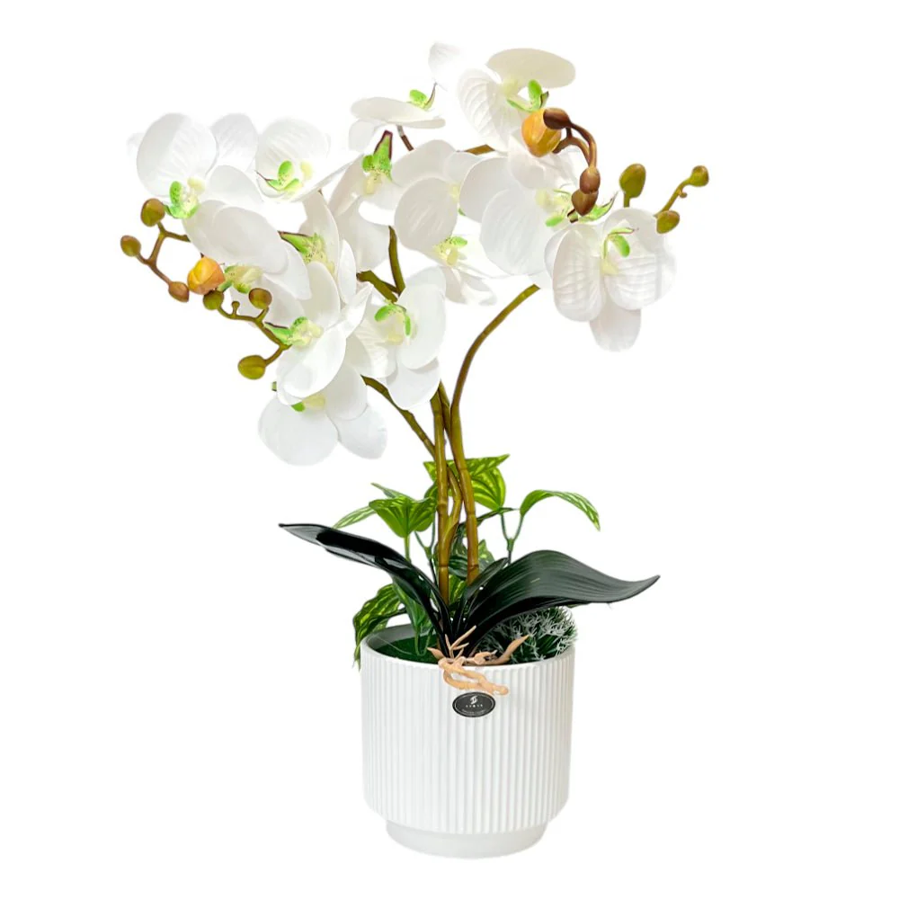 Pote Decorativo con Orquídea / Home Elegance - Image 2