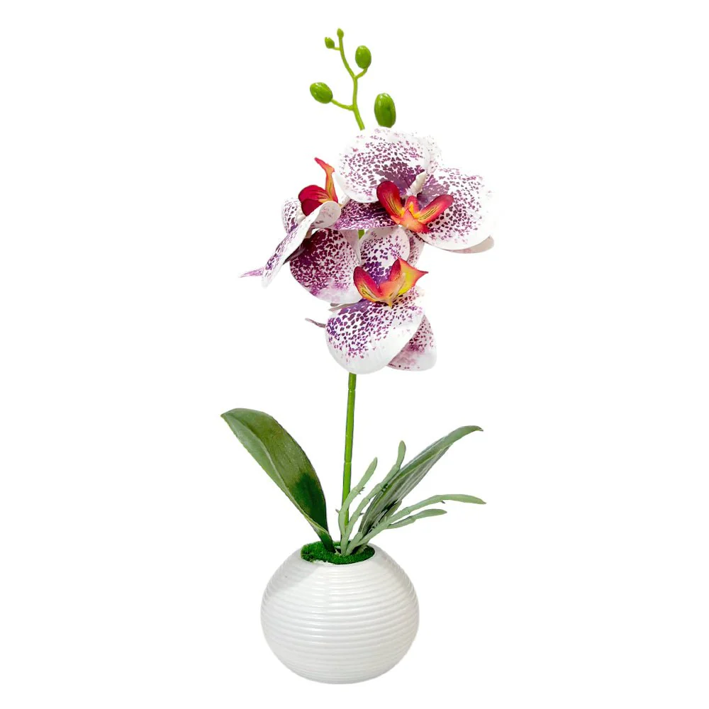 Pote Decorativo Plástico Con Orquideas Home Elegance 2" / Surtidos - Image 2