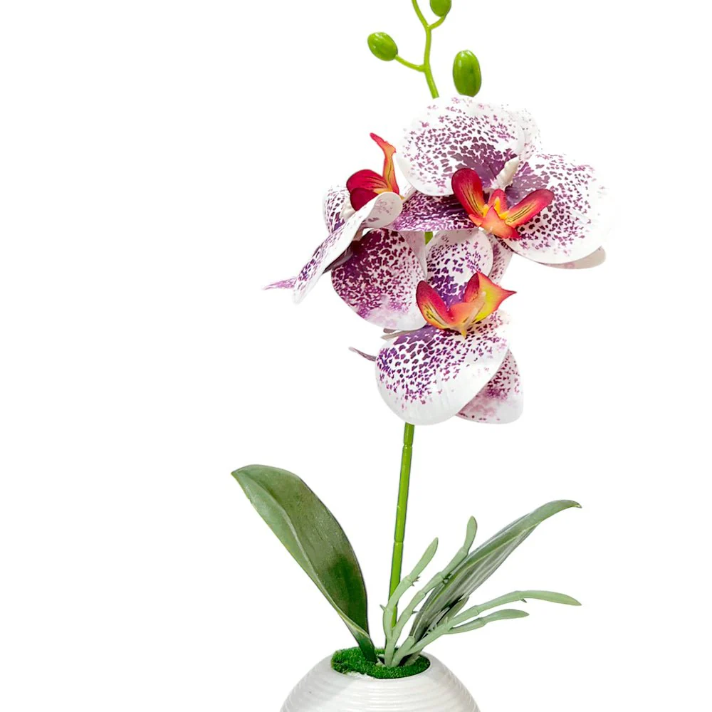 Pote Decorativo Plástico Con Orquideas Home Elegance 2" / Surtidos - Image 3